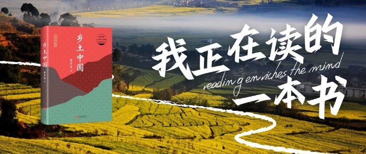 我正在读的一本书｜《乡土中国》：乡土社会的细腻描绘与深刻反思