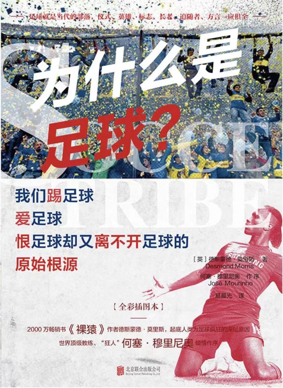 书说 | 看世界杯，当然要看《为什么是足球？》——让不懂的人看懂，让懂的人更懂足球文化